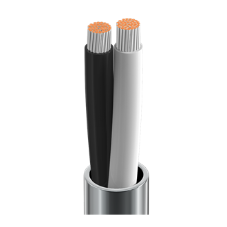 Belden Speaker Cable